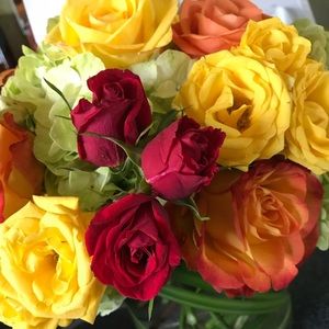 Meet your Posher, Melissa